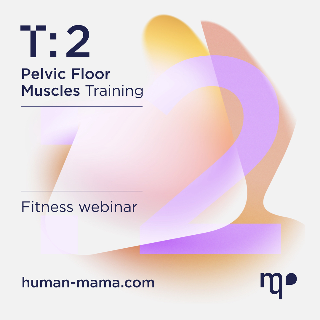 T2_Pelvic Floor Muscles_IG+FB posts_L.001